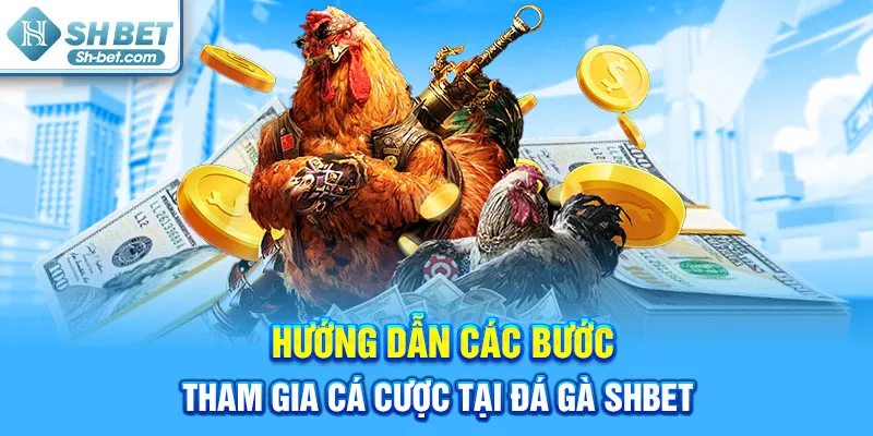 Hướng dẫn các bước tham gia cá cược tại đá gà SHBET