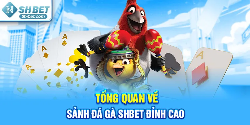Tổng quan về sảnh đá gà SHBET đỉnh cao